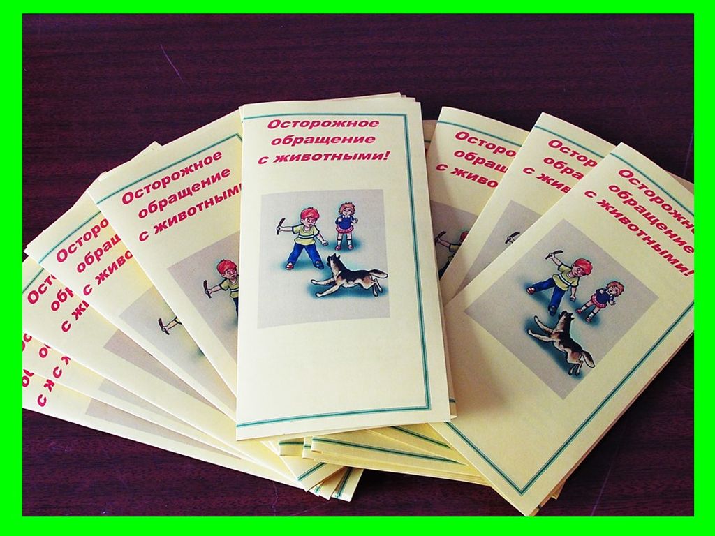 Акция «Осторожное отношение к животным»