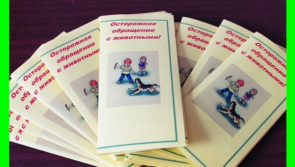 Акция «Осторожное отношение к животным»
