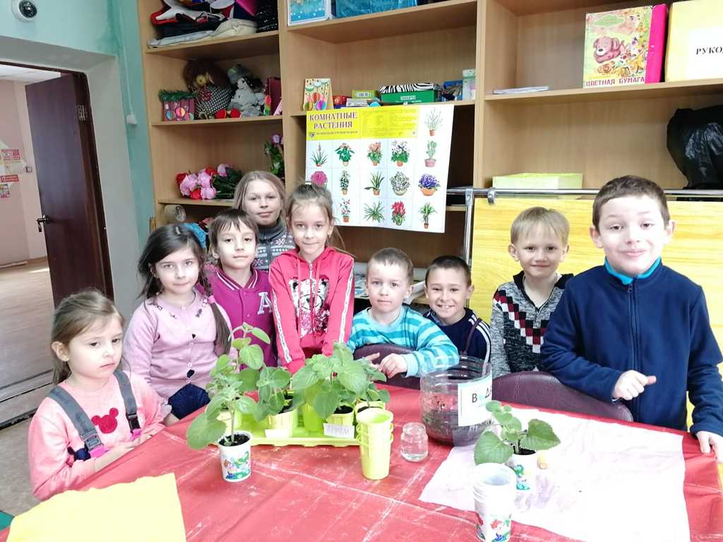 Фрагменты занятий экологического кружка с элементами творчества «Экошкола»