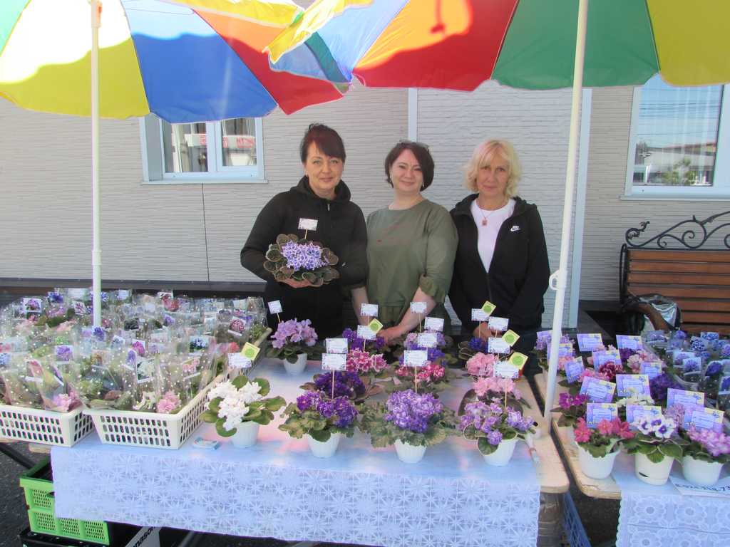 Выставка-ярмарка фиалок