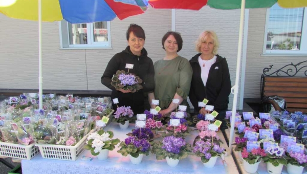 Выставка-ярмарка фиалок